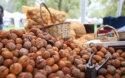Sapanca satılık doğal Sapanca Cevizi